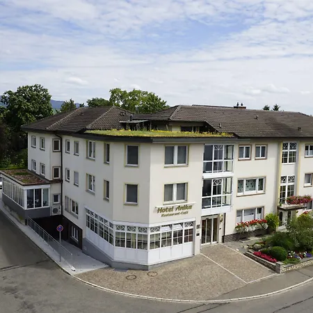 阿尼卡酒店 3* 莱茵河畔的纳沙泰尔