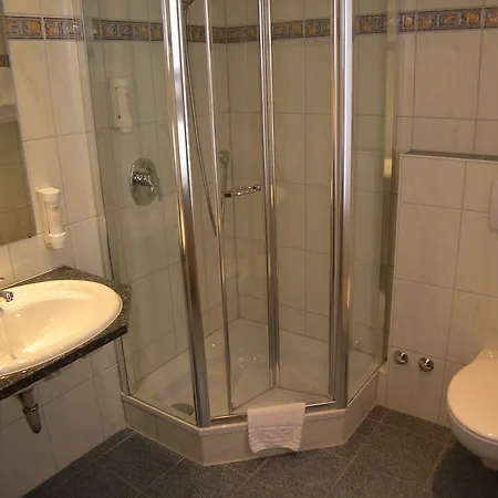 阿尼卡酒店 3* 莱茵河畔的纳沙泰尔