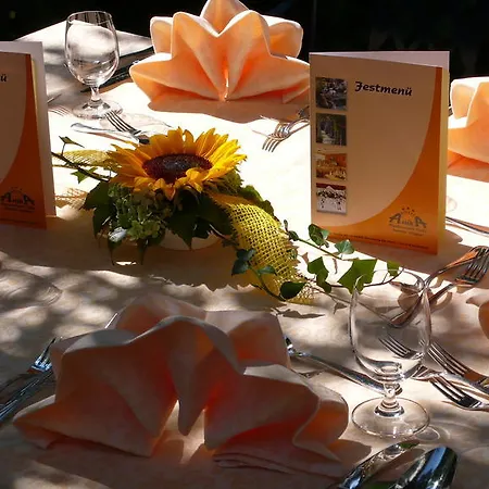 阿尼卡酒店 莱茵河畔的纳沙泰尔