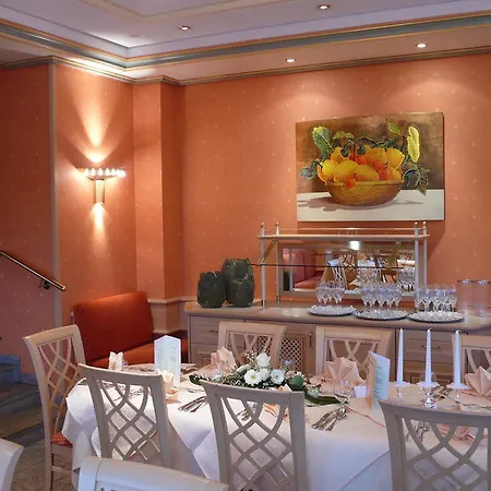 酒店 阿尼卡酒店 莱茵河畔的纳沙泰尔