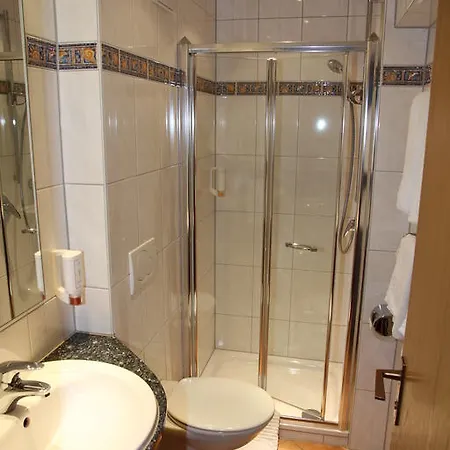 酒店 阿尼卡酒店 莱茵河畔的纳沙泰尔