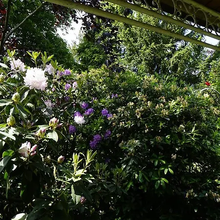 Anika Neuenburg am Rhein